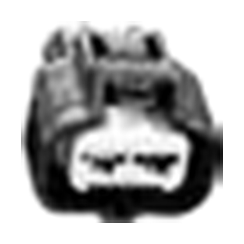 Hangzhou Golden Sun Autoparts Co., Ltd.